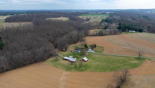 Peaceful Hollow - Foto 3