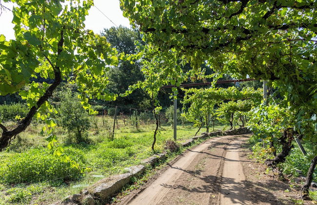 Quinta da Comenda - Casa da Bica - Foto 25