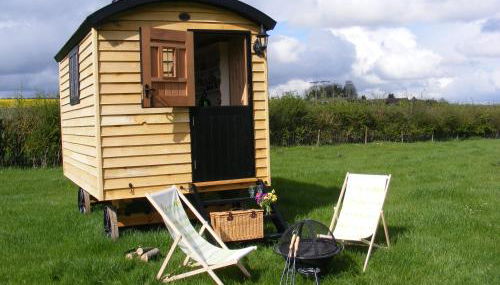 Marshwood Farm B&B and Shepherds Hut - Foto 4