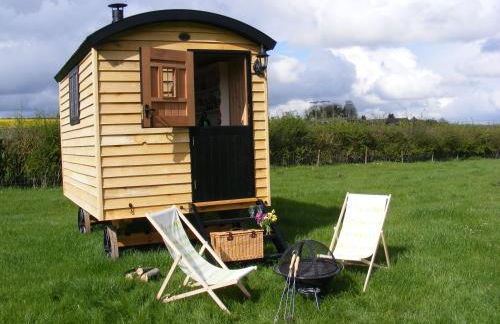 Marshwood Farm B&B and Shepherds Hut - Foto 4