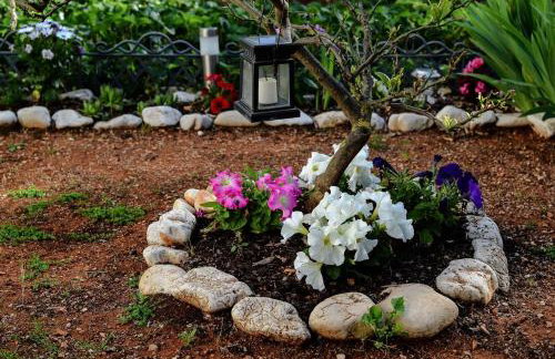 Apartment Marko - Photo 53