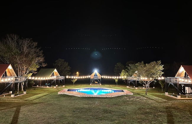 Ecohotel el Obelisco - Foto 21