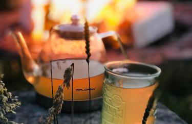 Zagroda w Puszczy - Photo 14