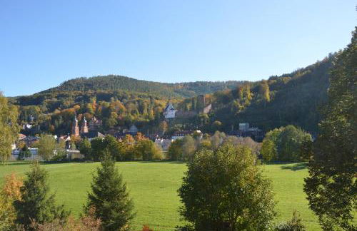 Panorama-Blick Miltenberg, 3 Pers., zentr., am Main, Terrasse, Bootverleih, P - Foto 26