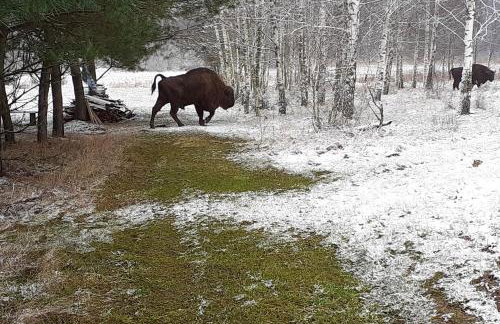 Agroturystyka u Wojtka - Foto 40