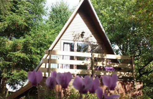La Rossignolerie - Cabane aux oiseaux - Foto 10