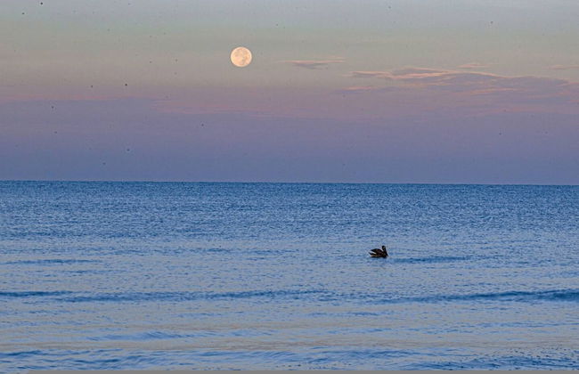 Waterfront Villa With Heated Pool Spa - Foto 66