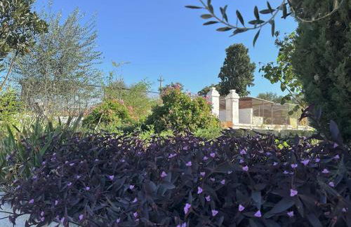 Masseria Strada Agriturismo - Foto 60