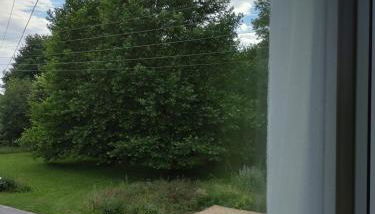 FeWo Wolfseiche - Foto 4