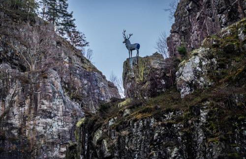 Feriendomizil am Rössleberg, Hinterzarten - Foto 26