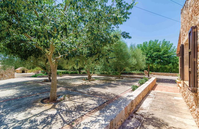 Aubadallet in Vilafranca de Bonany - Foto 29