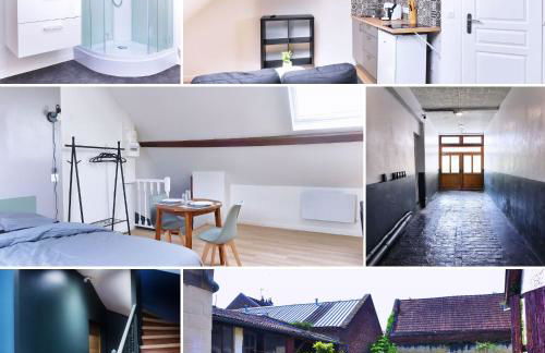 ZenkaSerenity-Ferme paisible Centre CHU-wifi-pro - Foto 38