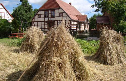 Zagroda Chłopska - Foto 1