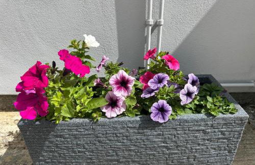 The Annexe Long Melford - Foto 33