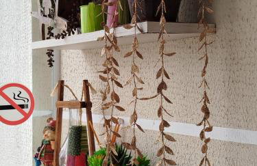 Apartamento - Foto 15