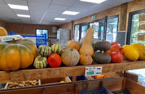 Les jardins des coccinelles - Foto 17