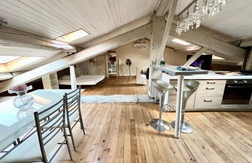 Les Bellevue Cité "4 Apartments, 1 with Garden & Private Parking, Aircon, WiFi, Free Public Car Park, 1 km from Cité" - Foto 71