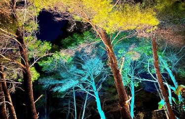 Pine Haven Retreat - Foto 27