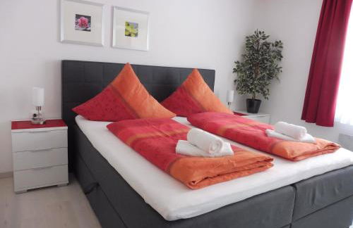 Komfortable Wohnungen und Studio in Sankt Englmar - Foto 22