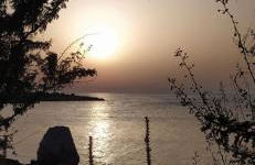 Dolce Casa - Foto 34