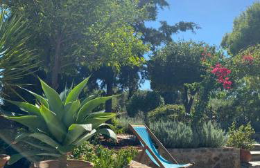 Villa-Agave , by the sea in Porto-Rafti outside Athens - Foto 57