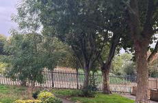 Mona's Home - Foto 36