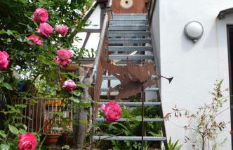 Ferienwohnungen Treiber in Eggenstein-Leopoldshafen - Nähe KIT Campus Nord und Karlsruhe - Foto 10