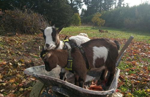 le Mas de la Jardine - Foto 63