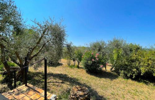 Provençal farmhouse 6 guests Peymeinade near Cannes - Foto 4