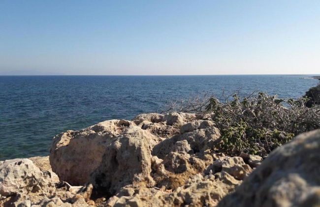 Vibrant Apartment in Rafina With Garden - Foto 25