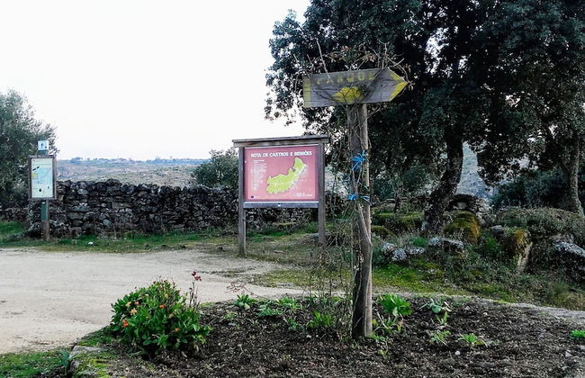 Douro Camping - Foto 34