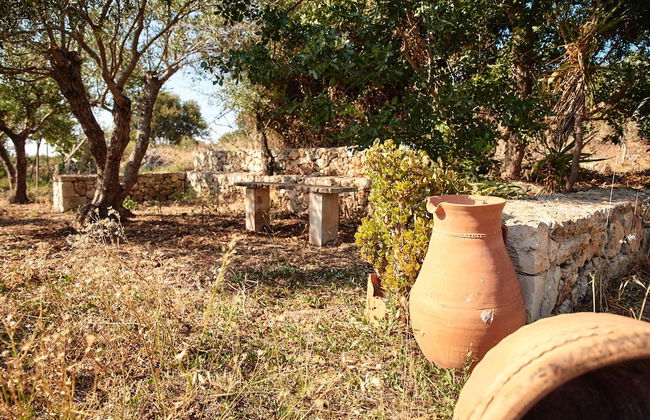 Vamos Fabrica Farm - Foto 47