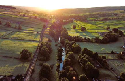 Black Dog House - Foto 36