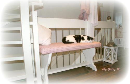 Apartment Seerose - Foto 11