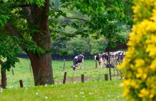 Apartment Lande Gaina by Interhome - Foto 32