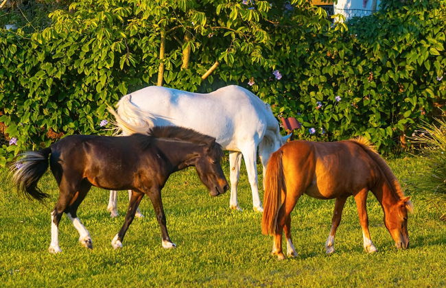 Villa Park Chalés - Foto 15