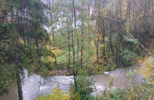 Chalet in Reinskopf With Fireplace - Foto 50