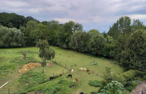 Hof Albersmeier Hüttinghausen / Urlaub am Stall - Foto 13