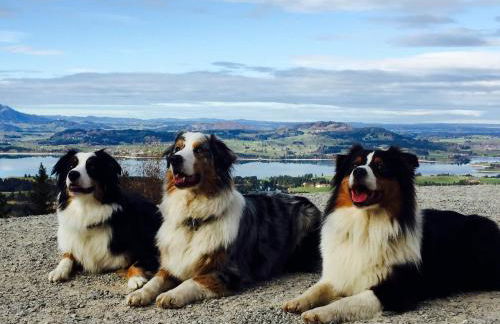 Ferienwohnung in Halblech - Photo 25