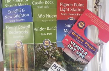 Spruce Beach Cottage - Walk to beach - Photo 9