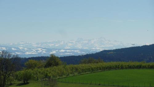 Ferienwohnung Igel - Foto 4