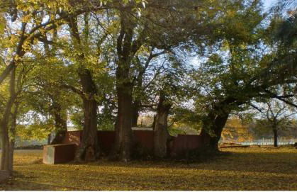 Bodega Boutique Finca Buytrón - Foto 26