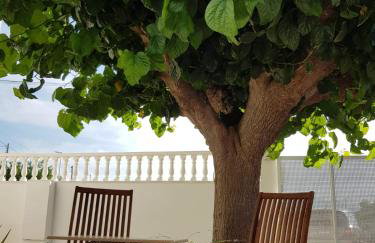 Exclusive Apartment - Playa de Marenys de Rafalcaid - Foto 31