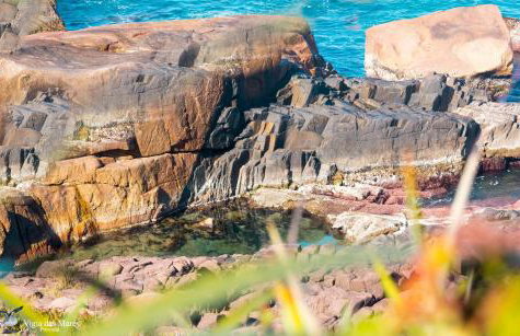 Casa Buda - Garopaba - SC - Foto 21