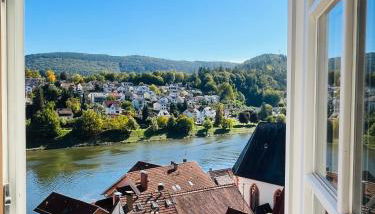 Natur und Neckarblick bei Heidelberg - Foto 5