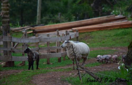 Chácara paraíso dá paz - Foto 4