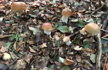 Apartament Nadziei - Foto 16