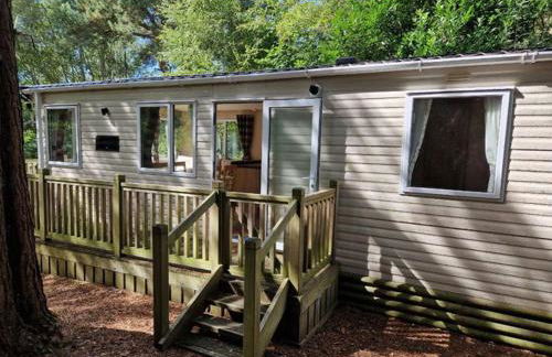 Fawn Lodge, Kelling Heath - Woodland Setting and Pets Welcome - Photo 8