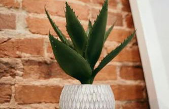 Sleek and Cozy Micro Fells Point Residence! - Foto 16