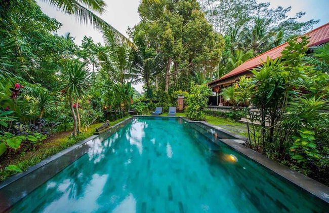 Infinity Jungle View Aashaya Villa Ubud - Photo 29